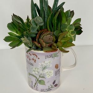 Lovely mug with real succulents